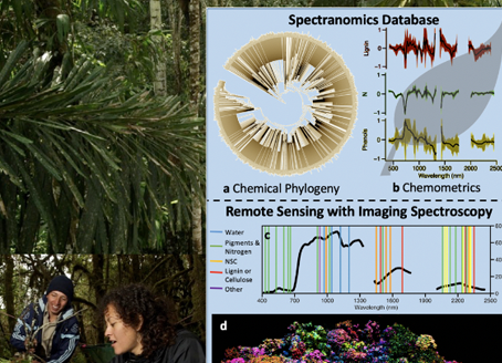 Spectranomics database graph